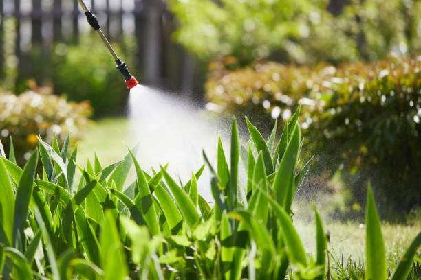 24/7 Emergency Mosquito Control experts in North Ogden, UT