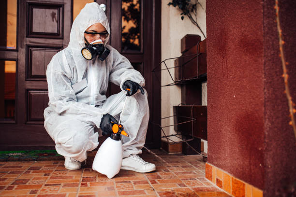Reliable Mosquito Control contractor in North Ogden, UT by Show Me Pest Control